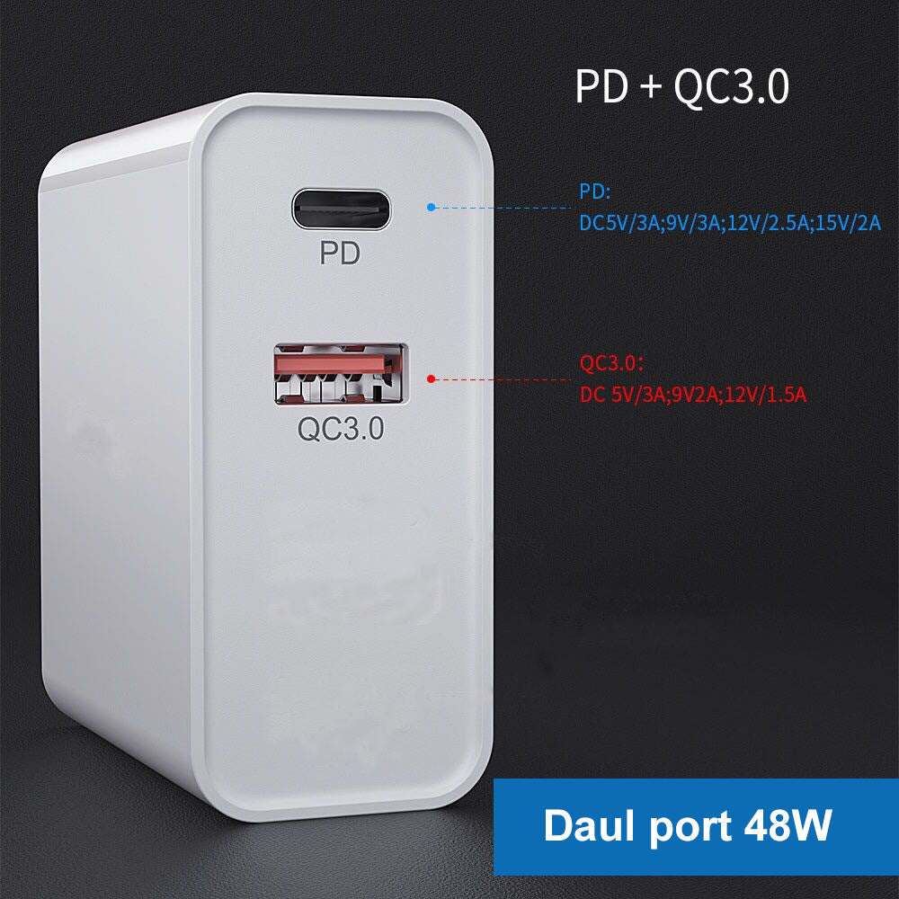 Fast Charge Charger
